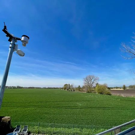 Haus - 4 Apartamento